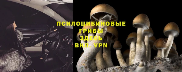 сатива Абаза