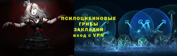 крисы Осташков