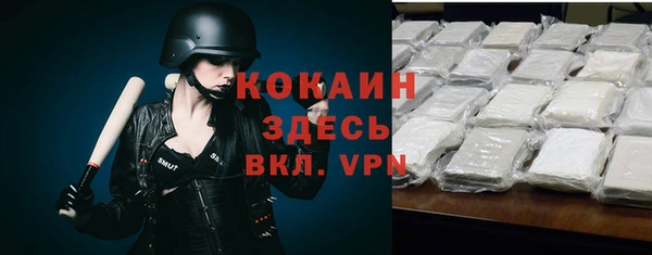 крисы Осташков
