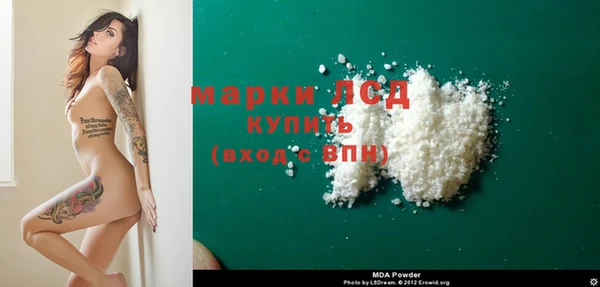 крисы Осташков