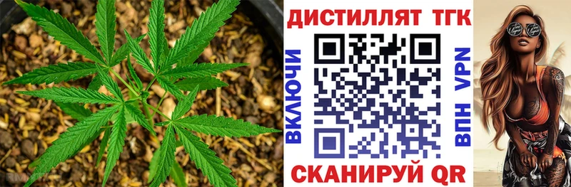 Дистиллят ТГК концентрат  Вольск 