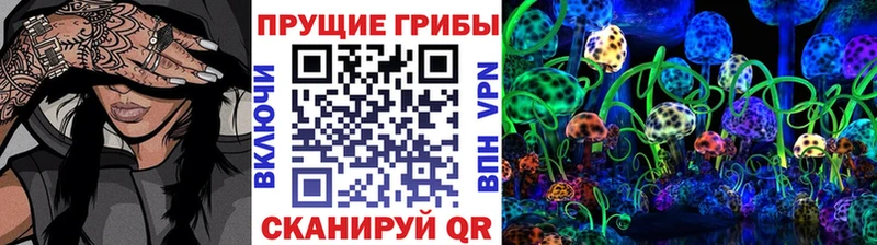 сколько стоит  Вольск  Псилоцибиновые грибы мухоморы 