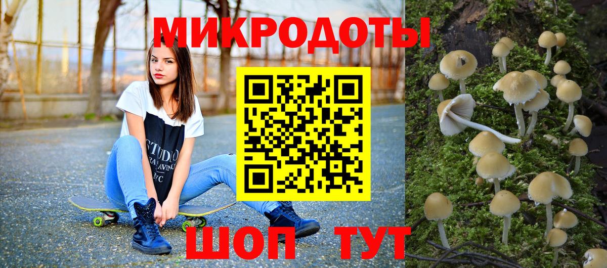 Псилоцибиновые грибы Cubensis Вольск