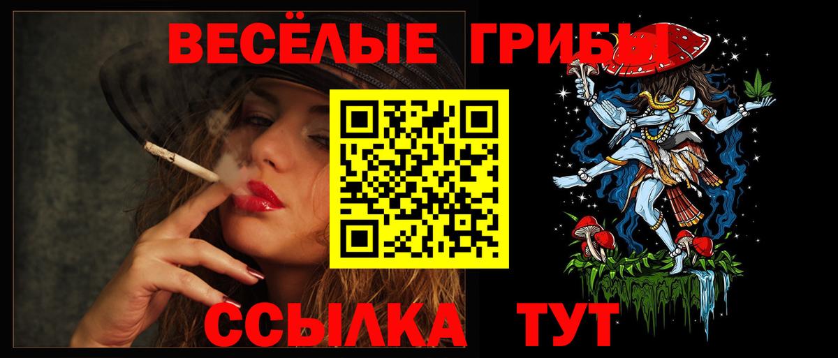 Псилоцибиновые грибы мицелий  Вход с VPN  Вольск 