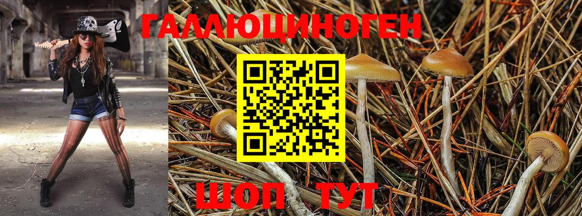 Галлюциногенные грибы мицелий  Вольск 