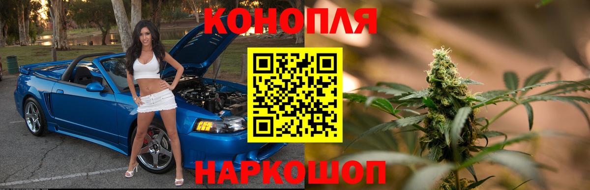 Каннабис MAZAR  Вольск  Марихуана план 